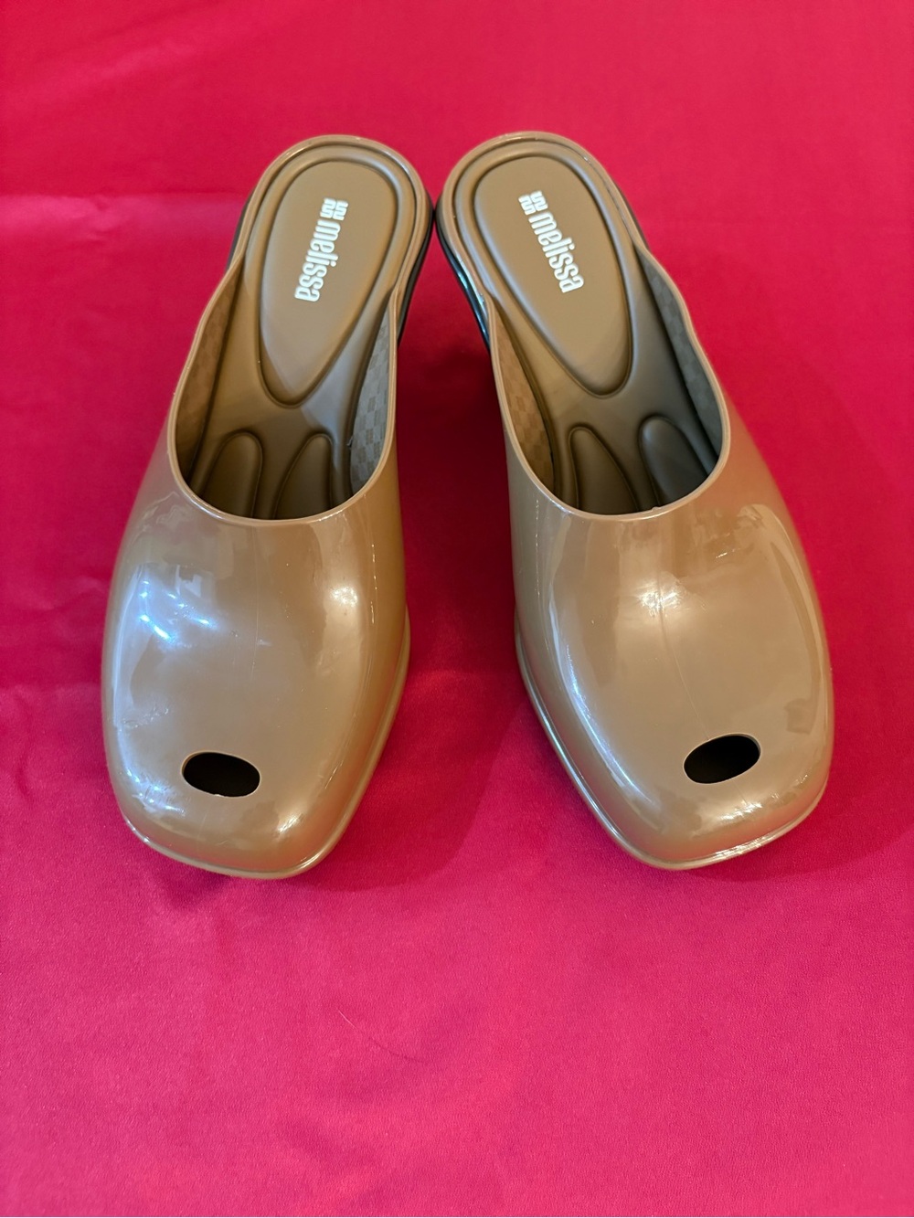Melissa Mule